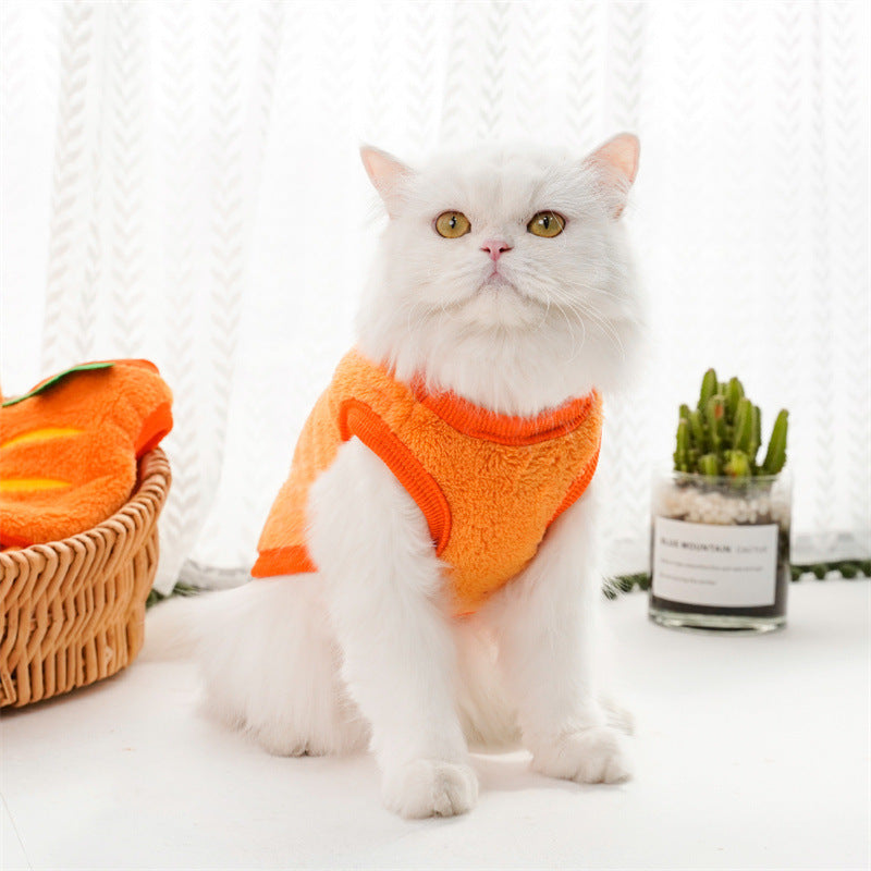 Flannel Warm Teacup, Small Dog, Cat, Teddy Clothes, Vest, Pet Supplies