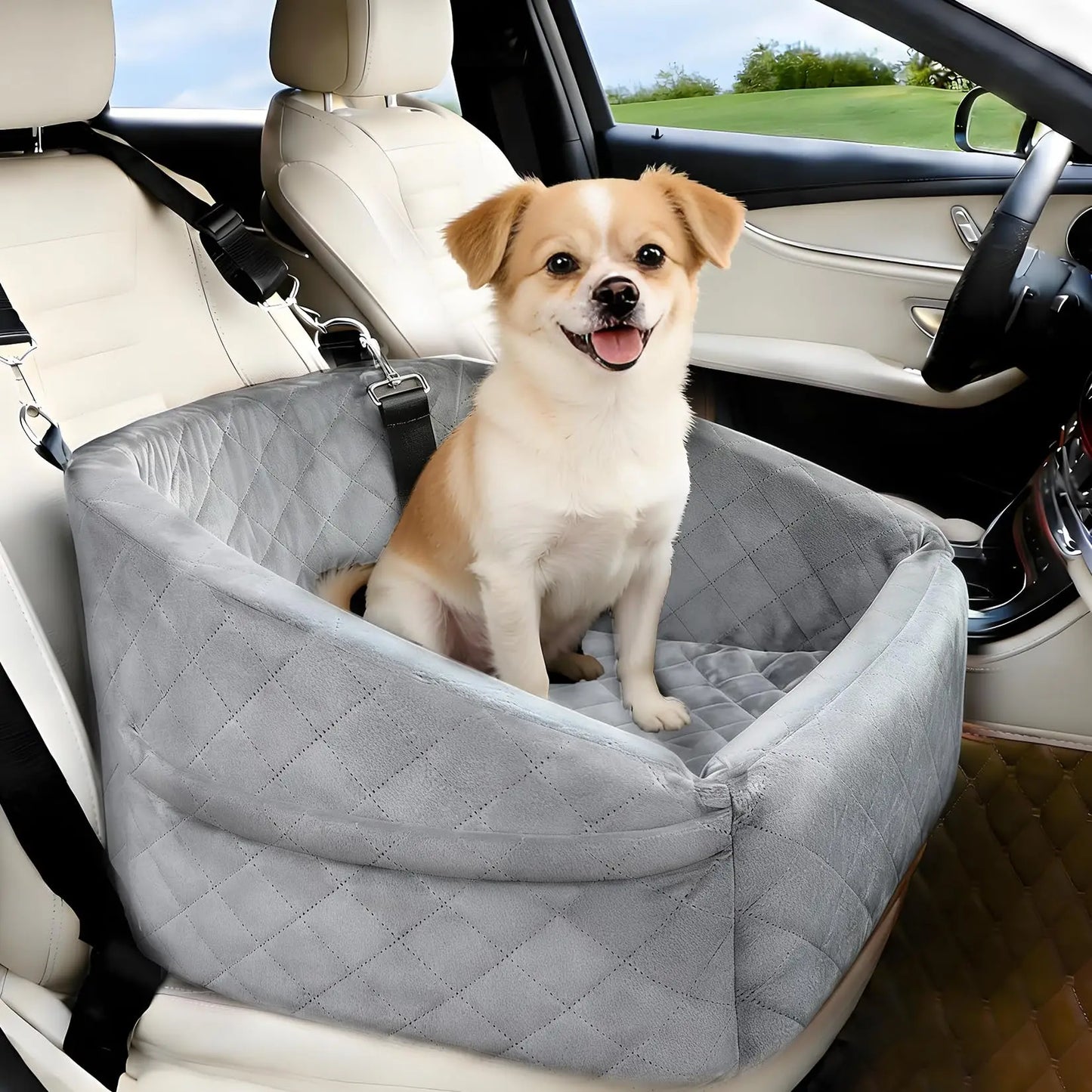 Dog Booster Car Seat, Detachable Washable with Safety Belt for Small Medium Puppies Cats Under 30-35 LB