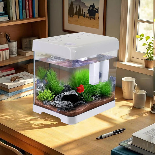 5 Gallon Glass Aquarium Kit with Filter and LED Light, Complete Betta Fish Tank Starter Set