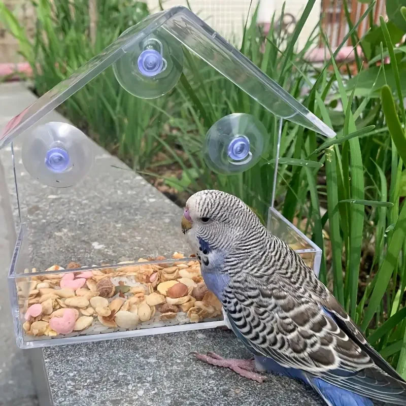 Transparent Bird Feeder Birds House for Outdoor Windo with Strong Suction Cups for Wild Birds
