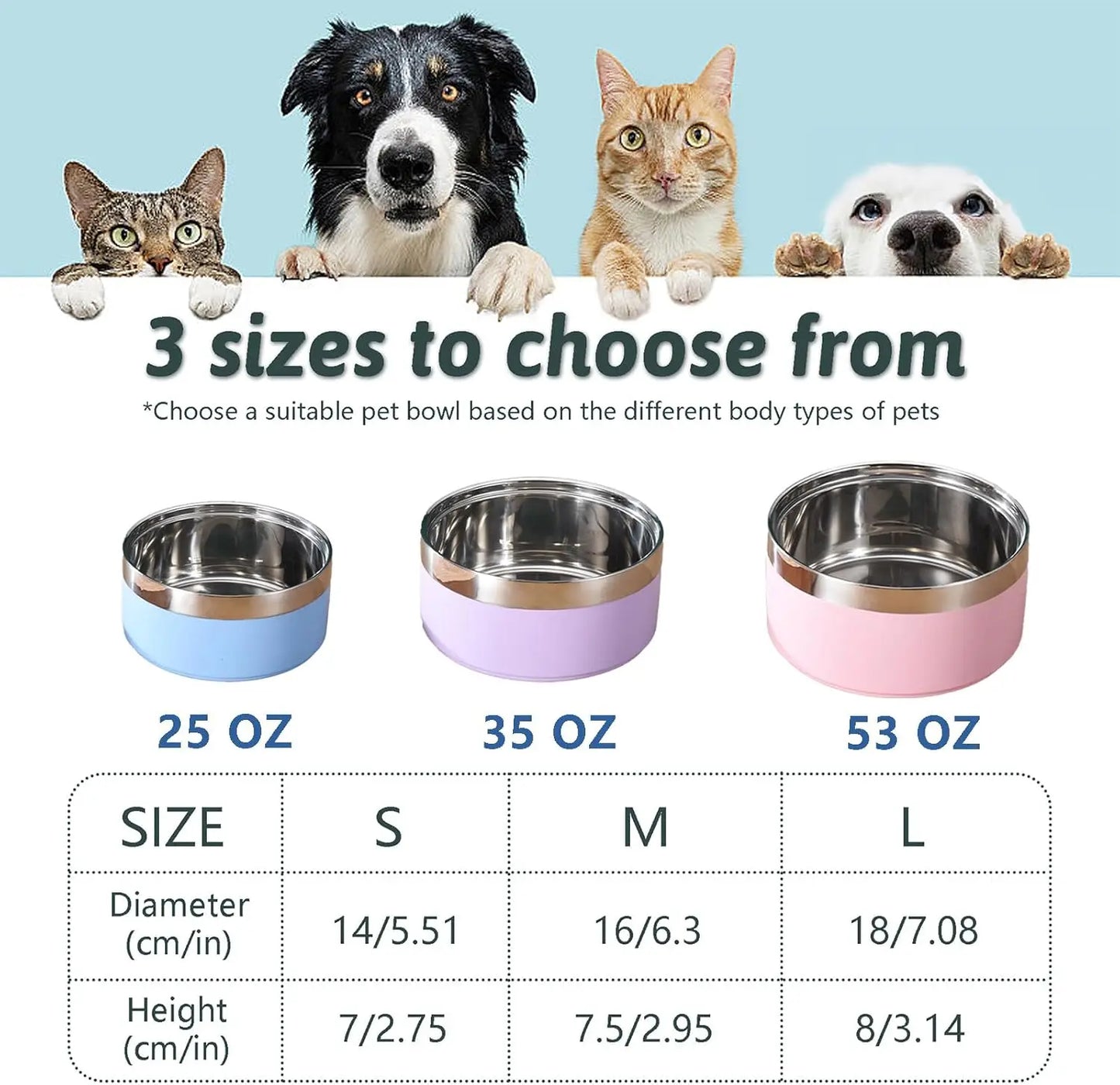 Customized Stainless Steel Pet Bowls with Name Engraving, Durable Double-Layer Design for Cats and Dogs