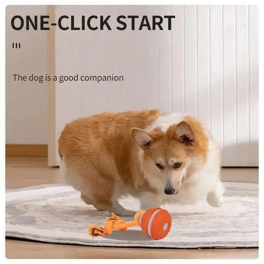 Smart Interactive Teasing Ball With Motion Activated Automatic Moving Squeaky Dog Toy Balls
Chew Toys Knot Rope