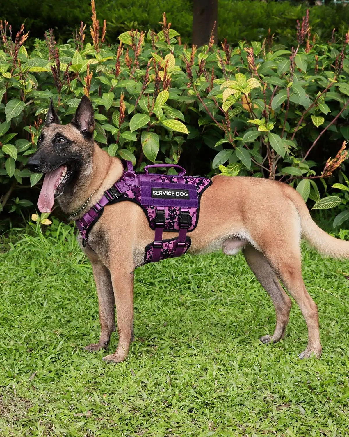 Tactical Dog Harness for Large Breeds, Service Dog Vest with MOLLE Panels and Handle for Walking Hiking Training - Purple Camo