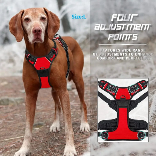 Dog Collars Harness, Big Vests Leash for Dogs and Puppy Medium Small Set