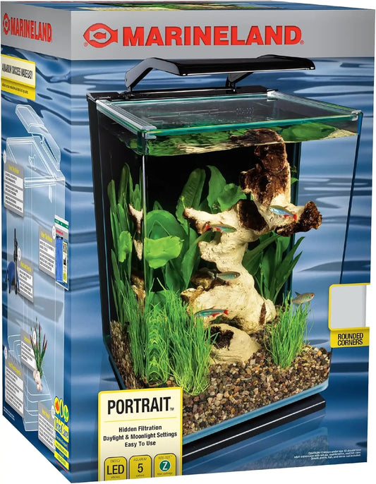 5-Gallon Glass LED Aquarium Kit with Hidden Filtration, Sleek Design and Dual Lighting