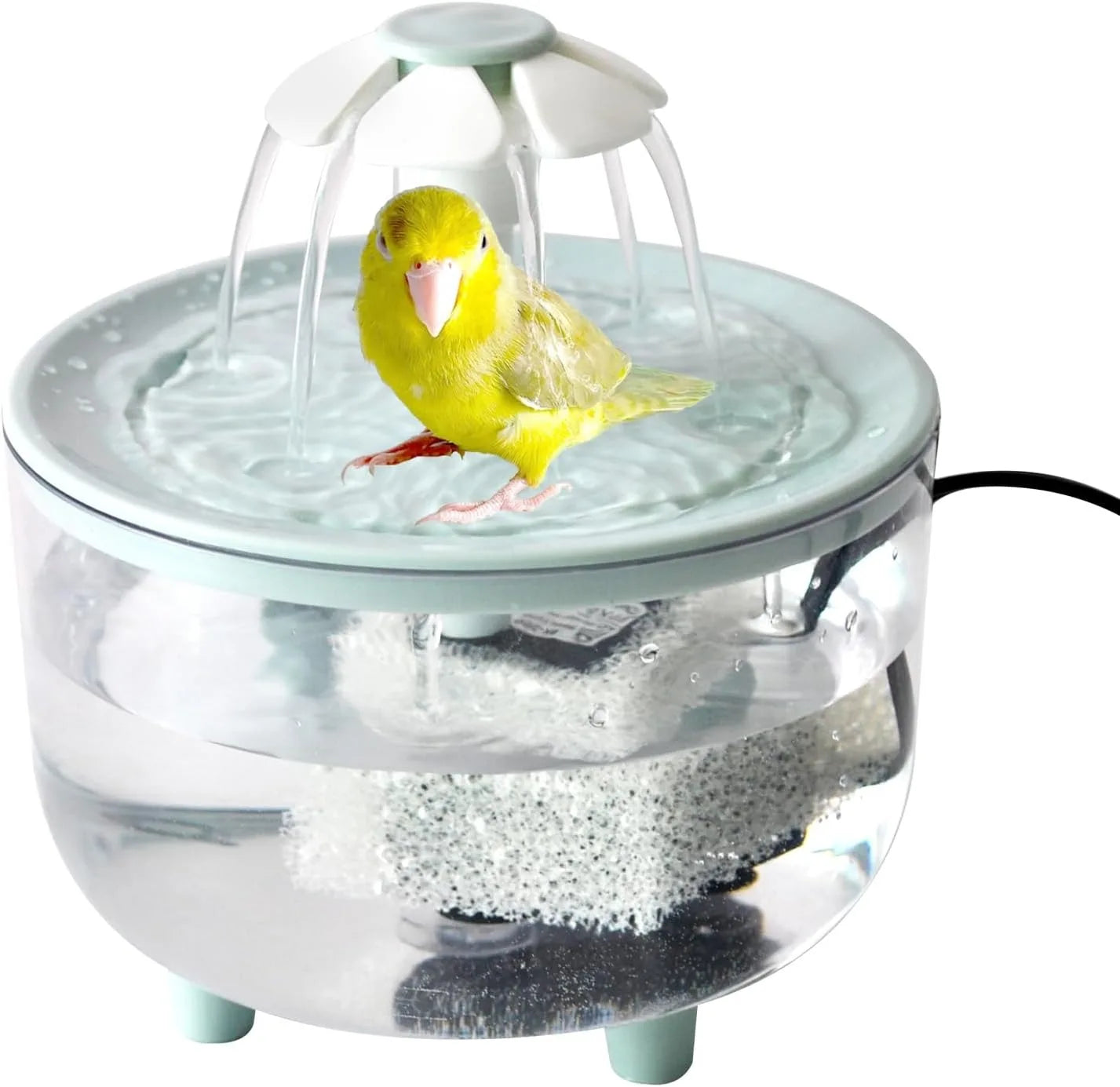 Indoor Bird Bath Fountain | Automatic Shower Tub with Filter Pump | Easy Clean for Small, Medium Parrot/ Birds