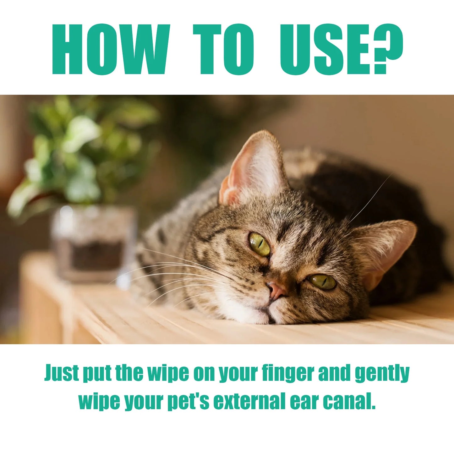 50PCS Pet Multipurpose Cleaner | Finger Wipes Gentle Remove Ear Mite, Cleaning Paw Stains | Remove Eyes Dirt Deodorizing Pet Cleaner For Cat And Dogs
