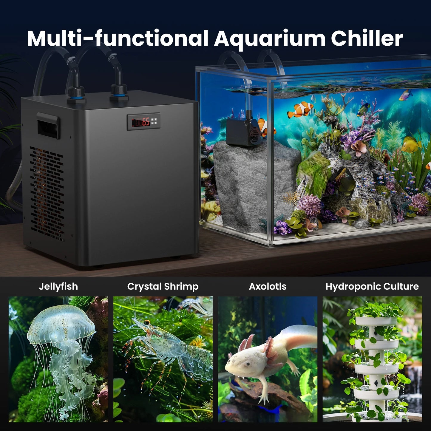 Water Chiller for Aquarium | Energy Efficient for Axolotl, Coral, Jellyfish, Freshwater