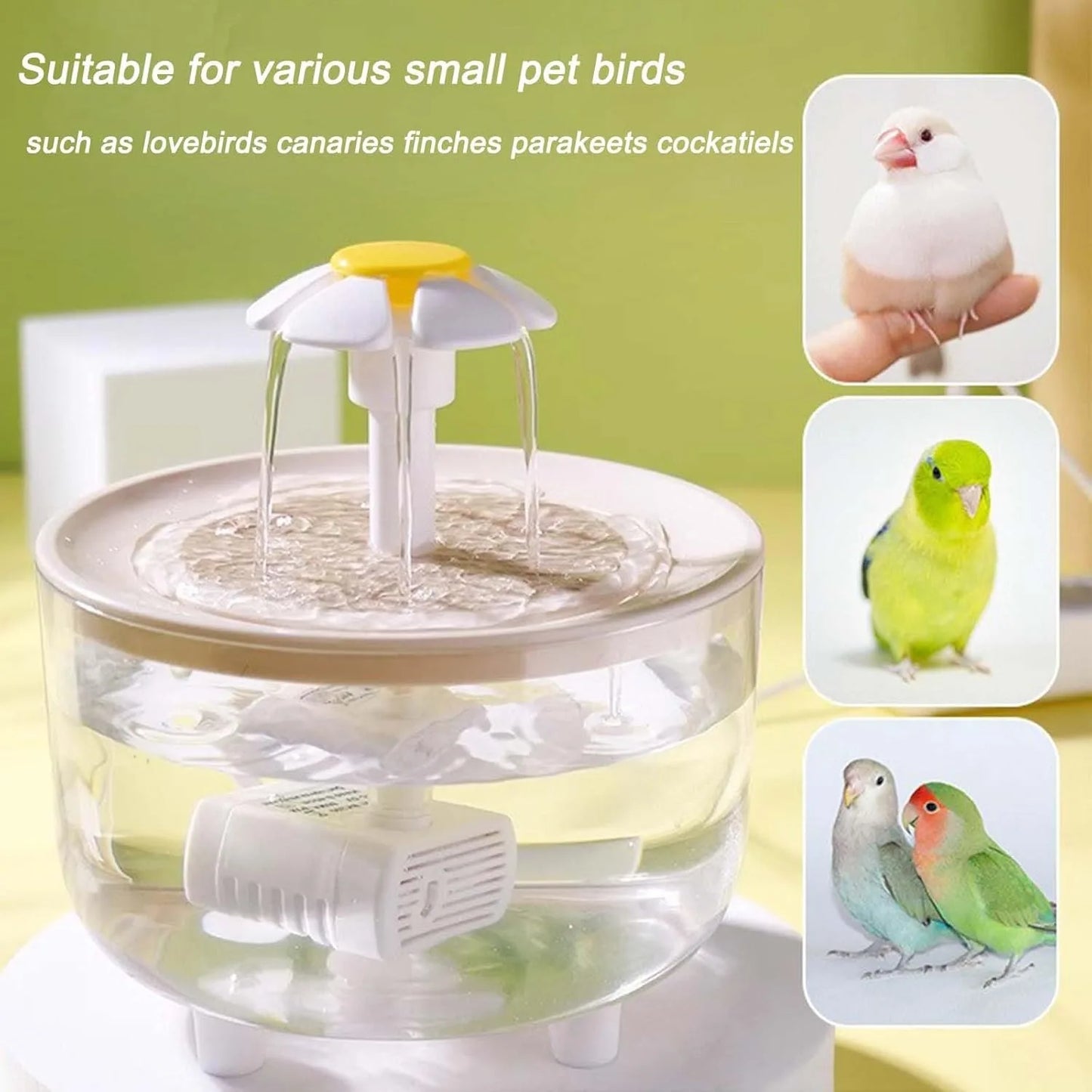 Indoor Bird Bath Fountain | Automatic Shower Tub with Filter Pump | Easy Clean for Small, Medium Parrot/ Birds