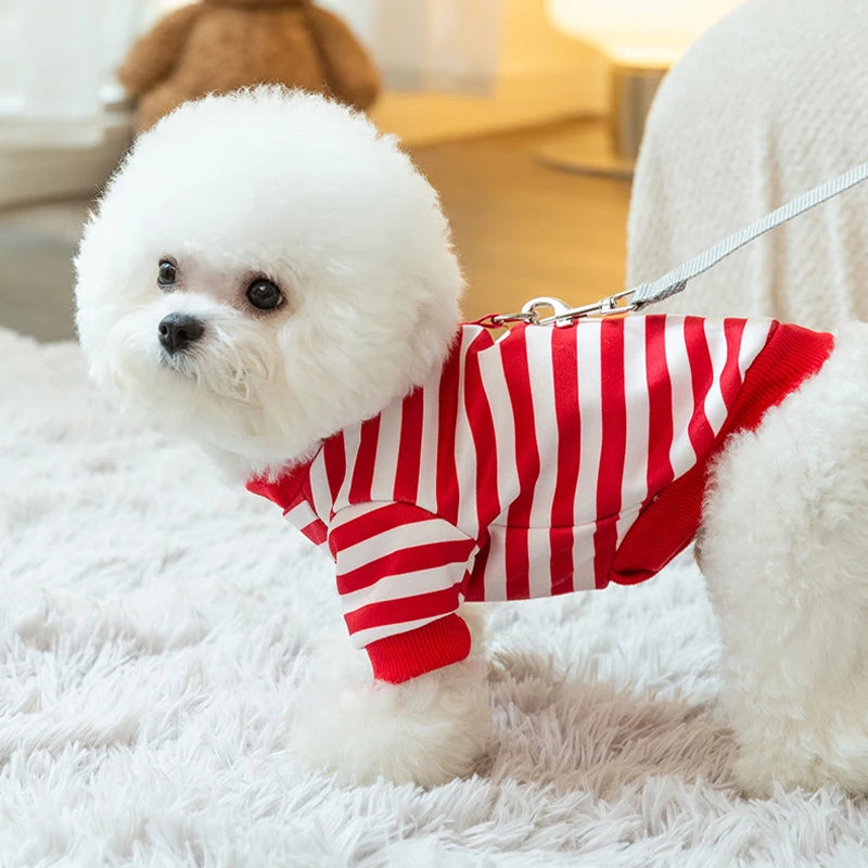 Winter Dog Clothes | Cute Cartoon Dog Warm Hoodie Sweatshirt | Dog Costume Outfits