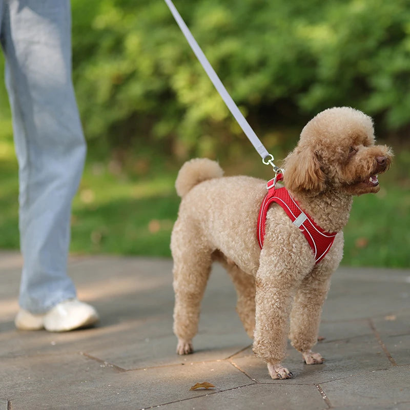 Dog Harness Leash Set for Small Dogs | Adjustable Puppy/Cat Harness Vest French Outdoor Walking Lead Leash