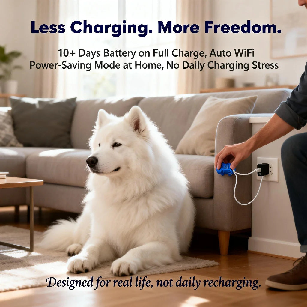 GPS Pet Tracker for Dogs and Cats | Real Time Tracking Unlimited Distance QR Code | Anti-Lost Locator with 1-year Service