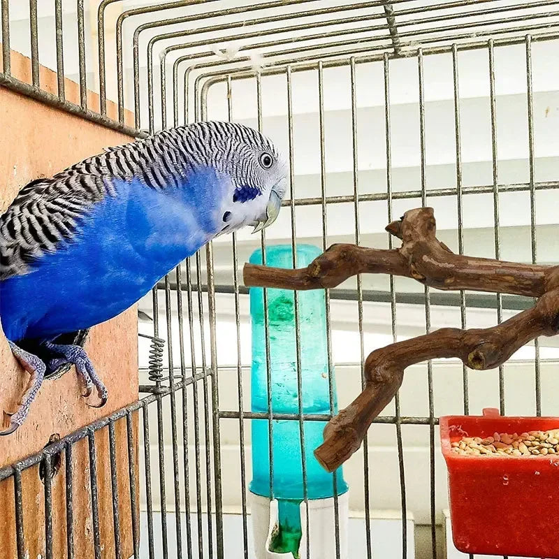 Standing Stick Wild Grape Wood Pole for Parrot/Cockatiel/Parakeet | Bite Claw Grinding Toy Bird Cage Accessories