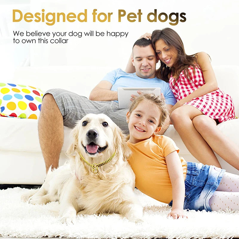Stainless Chain Large Collar  Dogs Medium | Small Steel Gold  link for  Walking/Training