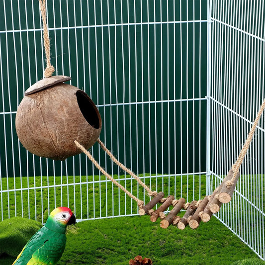 Coconut Shell Reptile Hideout with Ladder, Terrarium Tank Decor for Lizards & Geckos