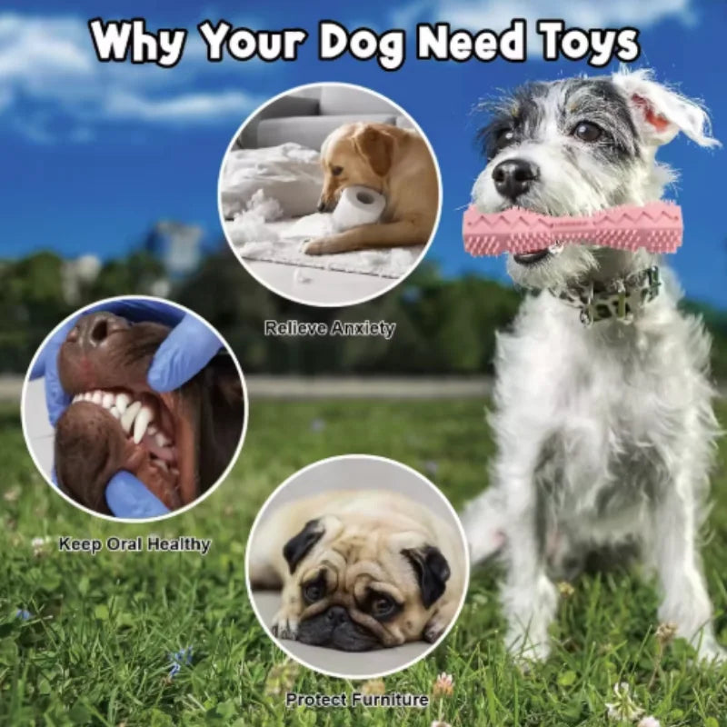 Puppy Teething Toy | Dog Chew Stick Bite Resistant | Leak Proof Food Dispenser | Teeth Cleaner  for Small Dogs