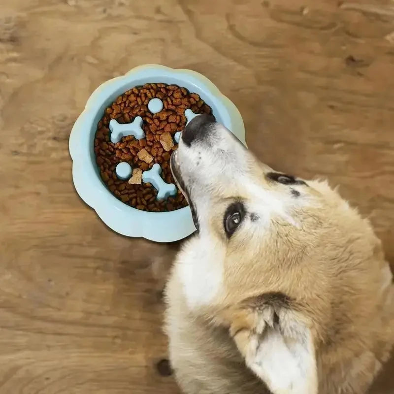 Slow Feeder  Bowl Anti-choking Plastic Dog and Cat Puzzle Food Bowl, For Anxiety Relief