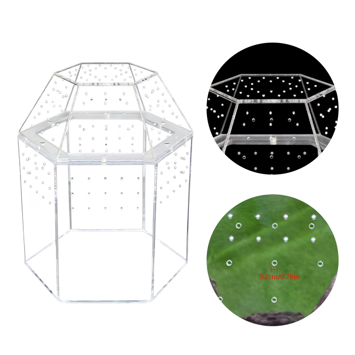 Jumping Spider Enclosure Acrylic Terrarium Habitat All-Side Ventilation, Reptile Breeding Box, Ventilated for Frog, Crickets, Snails