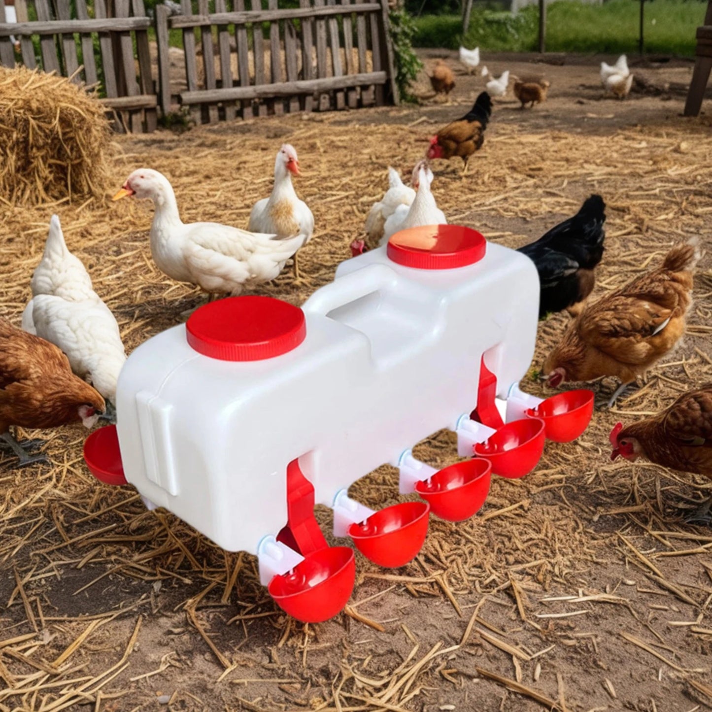 10KG Self Filling Automatic Chicken Water Dispenser with  Drinking Cup for Quail, Duck, Turkey