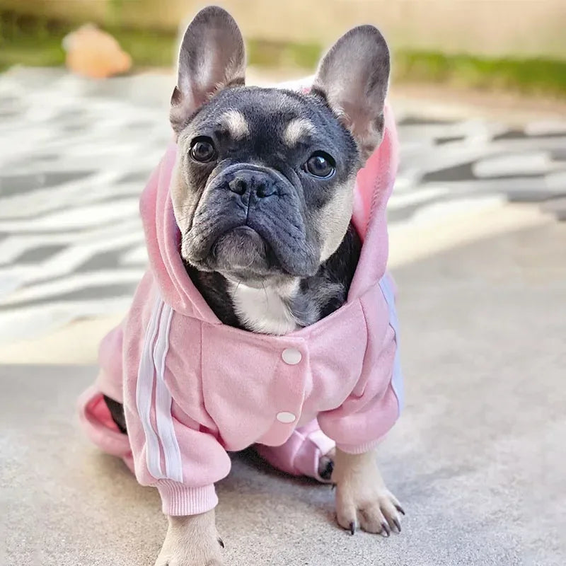 Dog Costume  Jumpsuit | Dogs Clothing for Small Medium Dogs Puppy Outfit
