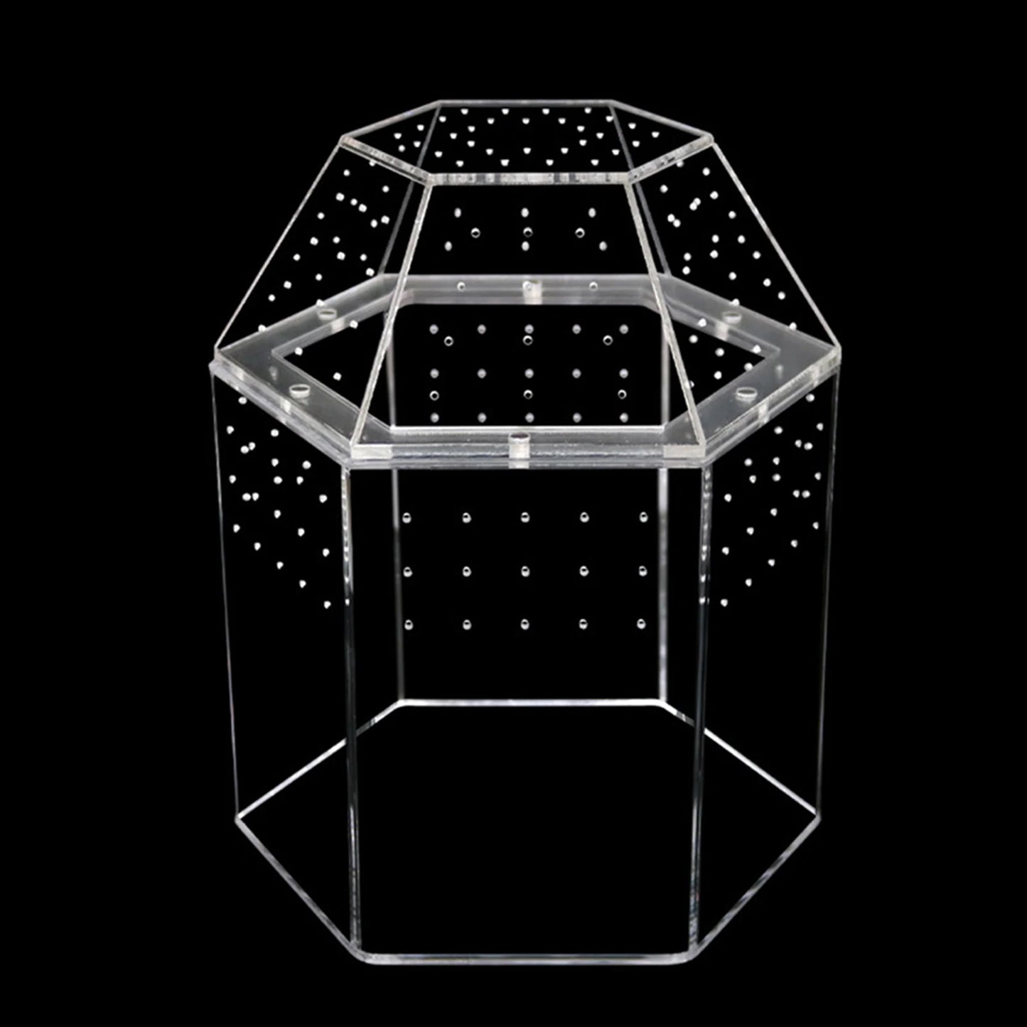Jumping Spider Enclosure Acrylic Terrarium Habitat All-Side Ventilation, Reptile Breeding Box, Ventilated for Frog, Crickets, Snails