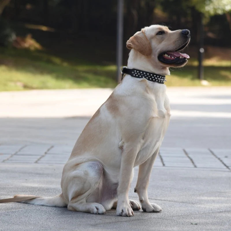 High Quality Dog Rivet Collar and Leash Set | Anti Bite  Collars for Medium Large Dogs
