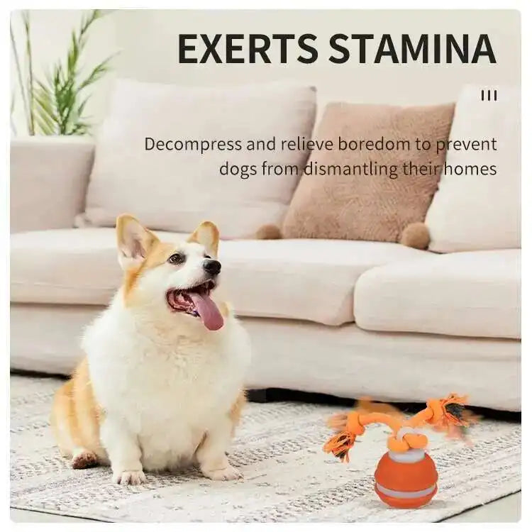 Smart Interactive Teasing Ball With Motion Activated Automatic Moving Squeaky Dog Toy Balls 
 Chew Toys Knot Rope