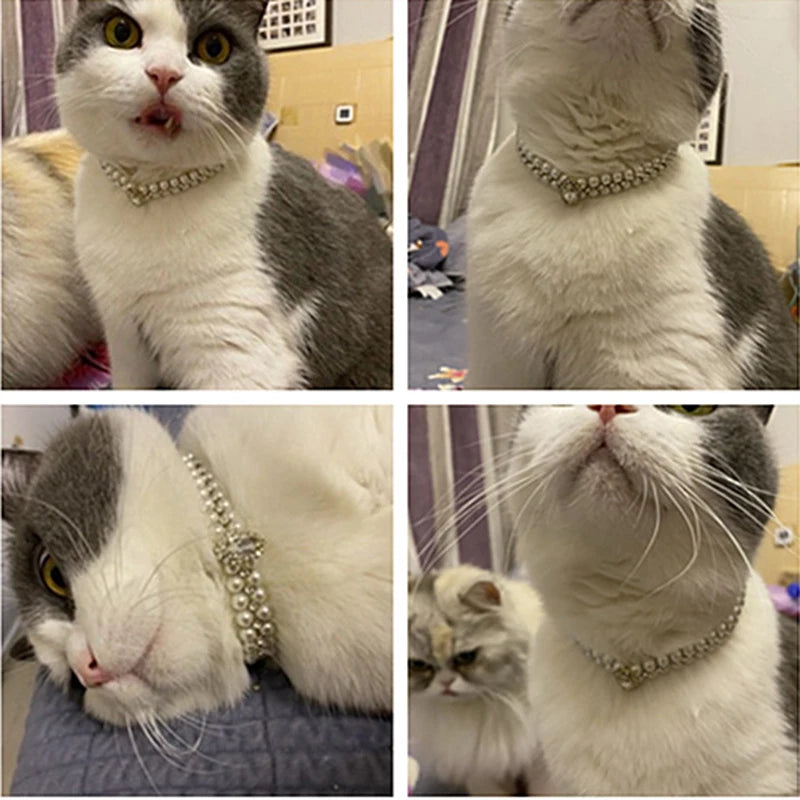 Luxury Cat Puppy Pearl Necklace Rhinestone Collar for Cats Small and Dogs