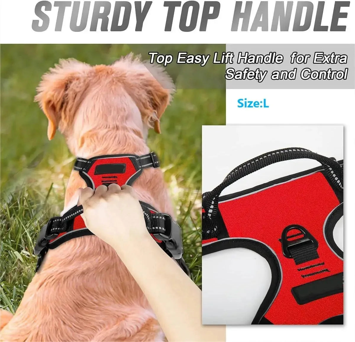 Dog Collars Harness, Big Vests Leash   for Dogs and  Puppy Medium Small Set