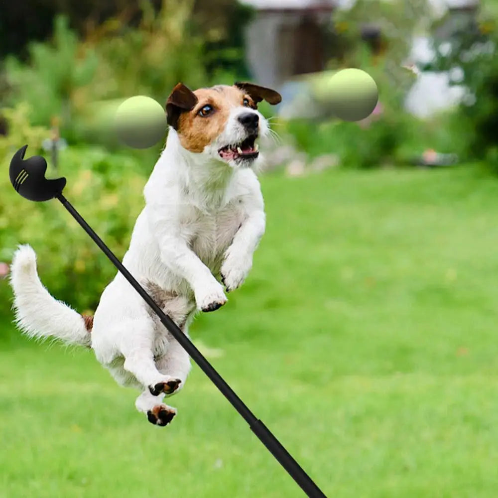 Dog Toys Throwing Pole Stick | Tennis Launcher Pole Outdoor Training Toys