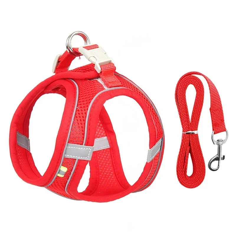 Adjustable Harness Set for  Puppy and Cat Harness Vest suitable for French Bulldog, Chihuahua, Small Dog Collar Pet Leash
