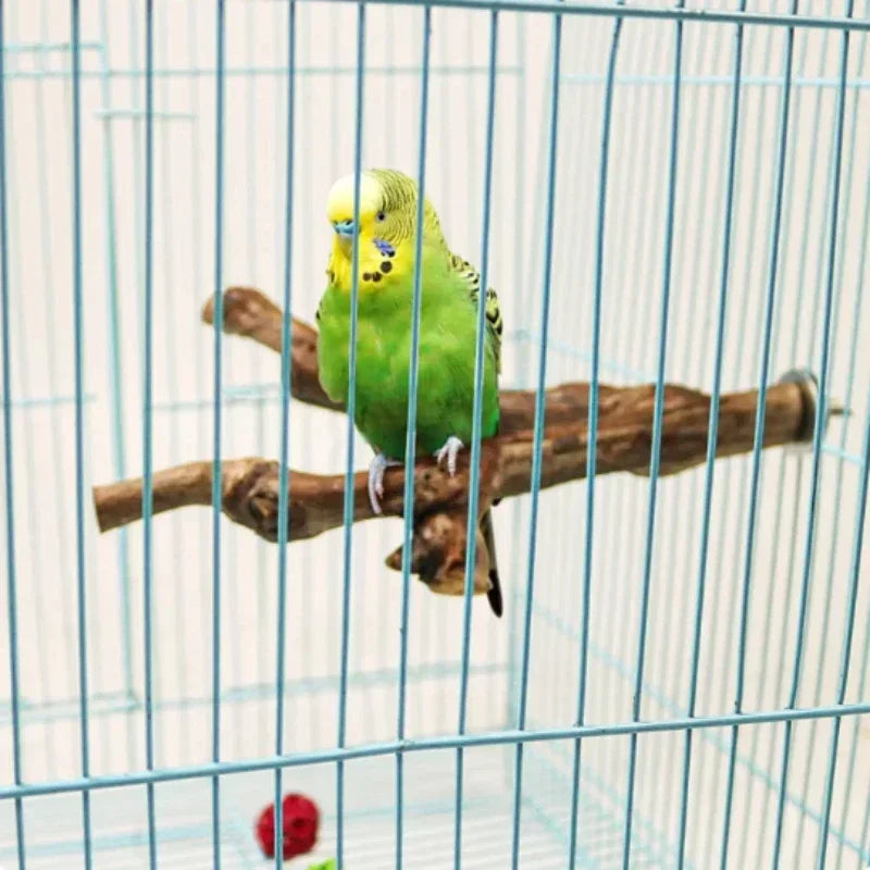 Standing Stick Wild Grape Wood Pole for Parrot/Cockatiel/Parakeet | Bite Claw Grinding Toy Bird Cage Accessories