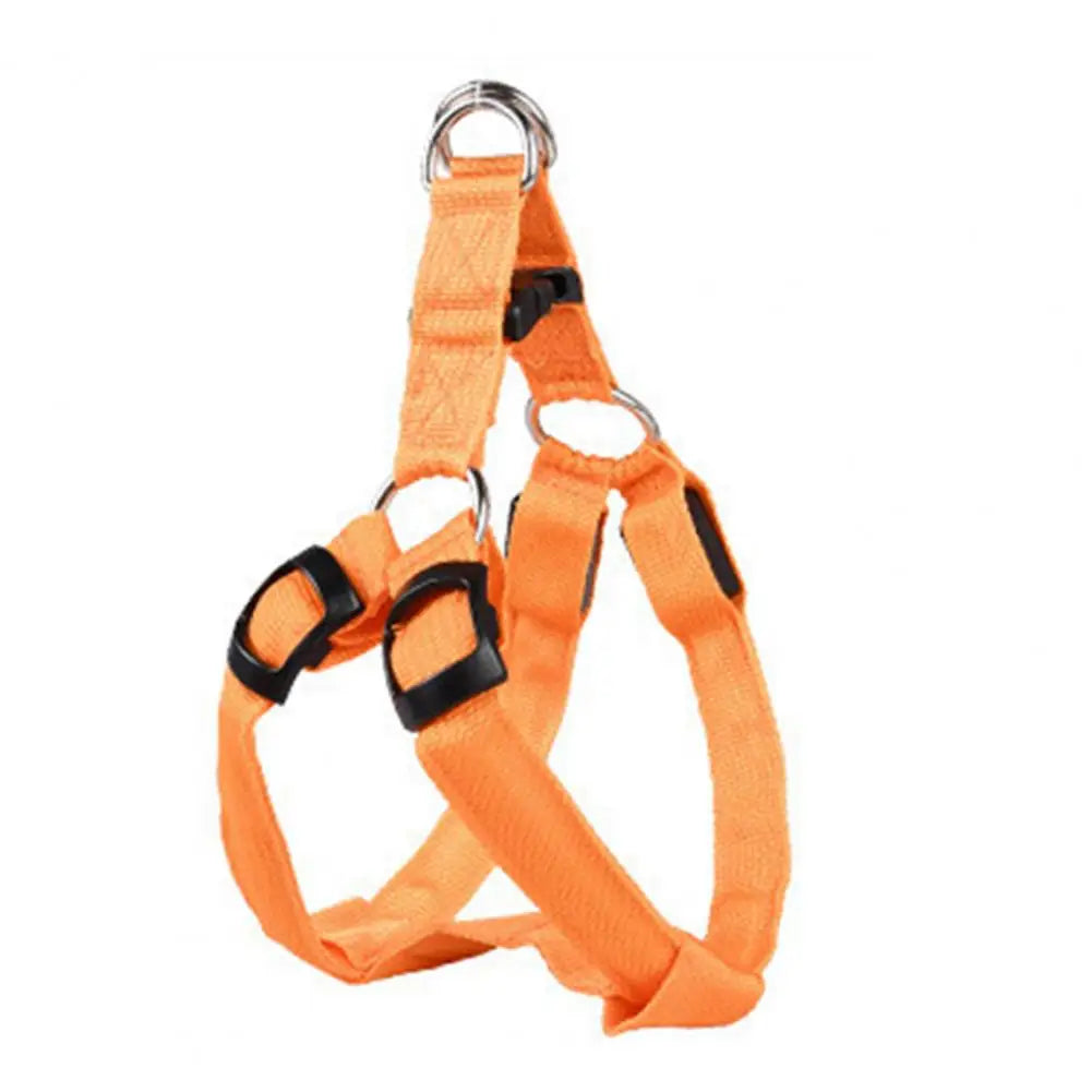 Adjustable LED Harness USB Rechargeable | Light Up Dog Harness | Glow-in-The-Dark Safety Vest | For Small Medium Dogs Pets Arnes