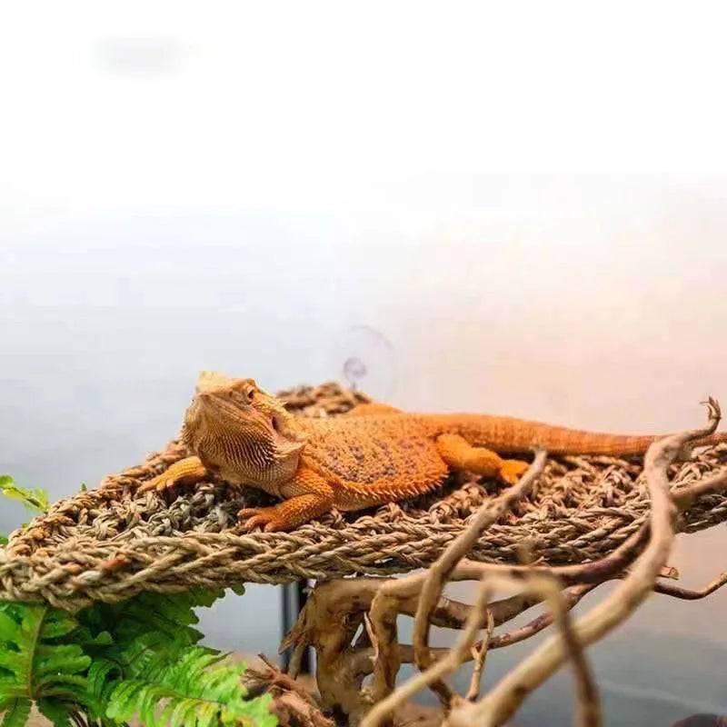 Bearded Dragon Hammock, Reptile Lounger for Chameleon Lizards, Gecko, Snakes, Iguana, Reptiles  Pet Bed Swing
