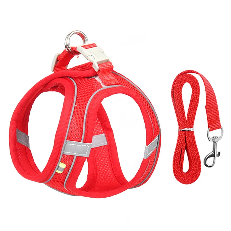 Dog Harness Leash Set for Small Dogs | Adjustable Puppy/Cat Harness Vest French Outdoor Walking Lead Leash