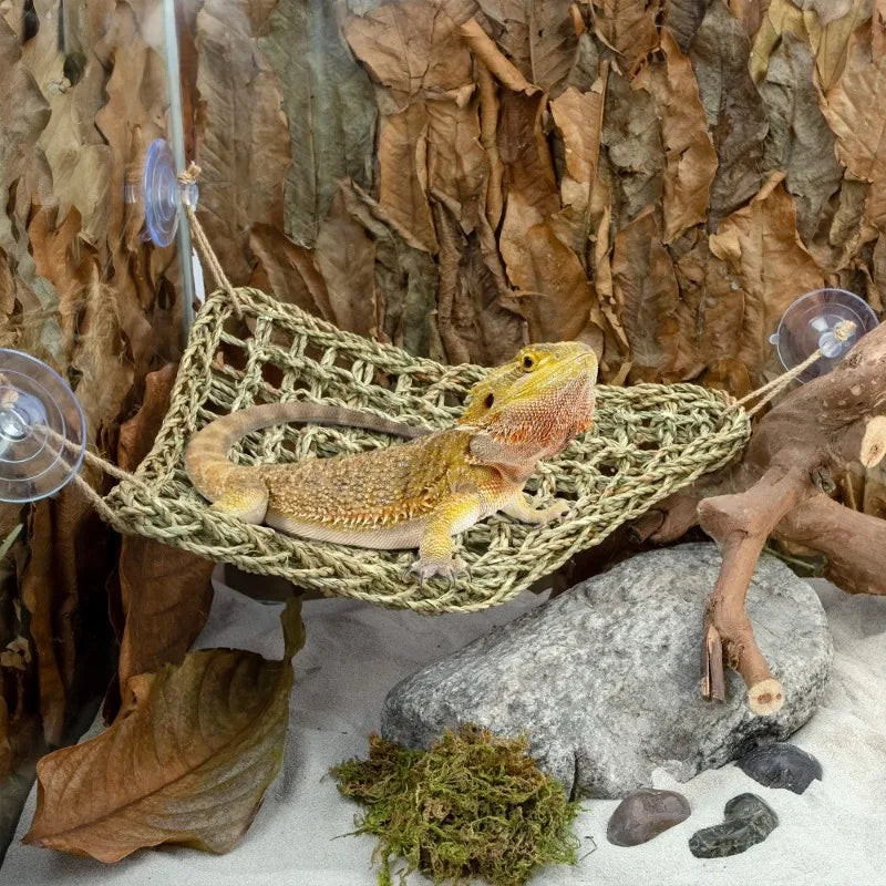Bearded Dragon Hammock, Reptile Lounger for Chameleon Lizards, Gecko, Snakes, Iguana, Reptiles  Pet Bed Swing