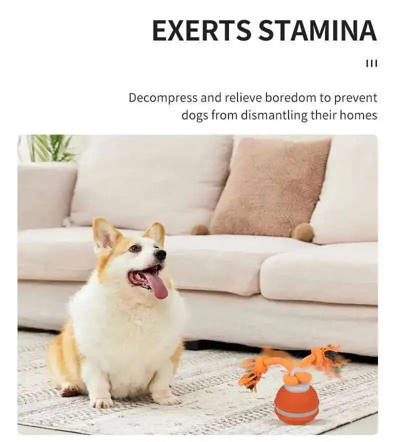 Smart Interactive Teasing Ball With Motion Activated Automatic Moving Squeaky Dog Toy Balls 
 Chew Toys Knot Rope