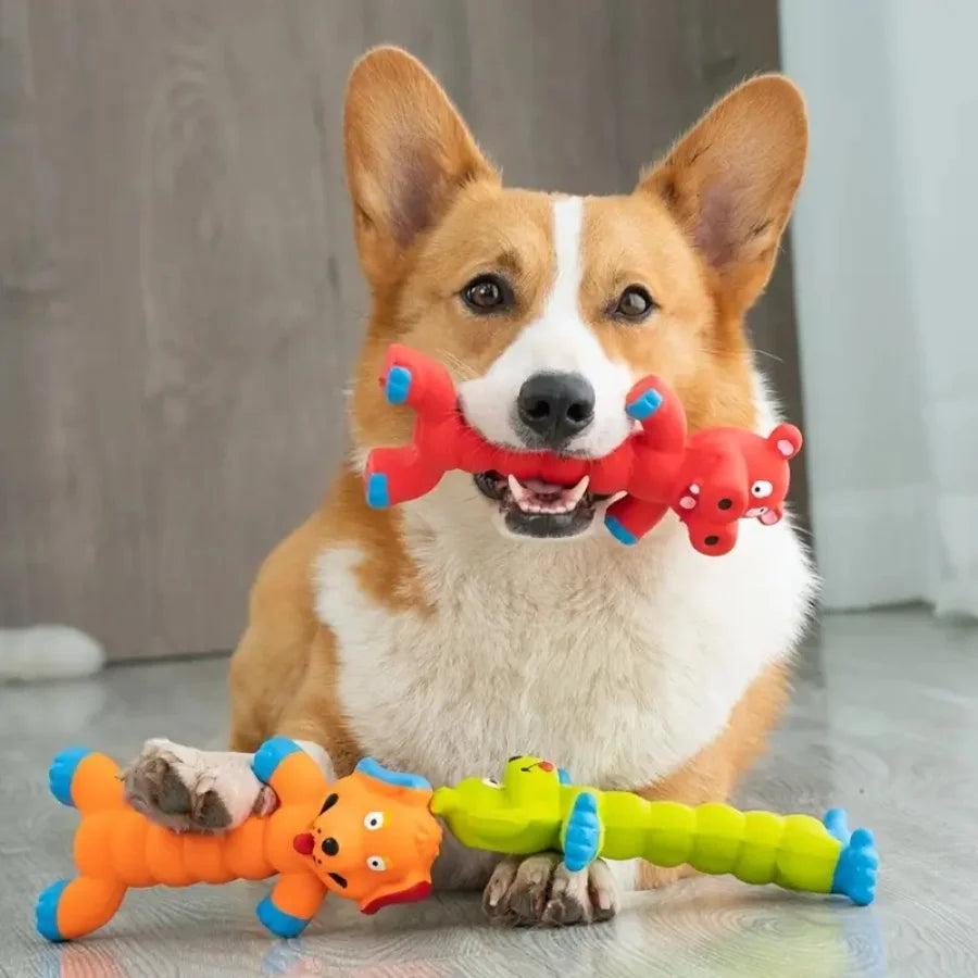 Dog Squeaky Toy | Latex Teeth Cleaning Chew Toy | Self-Play Interactive Durable Chewing Toys