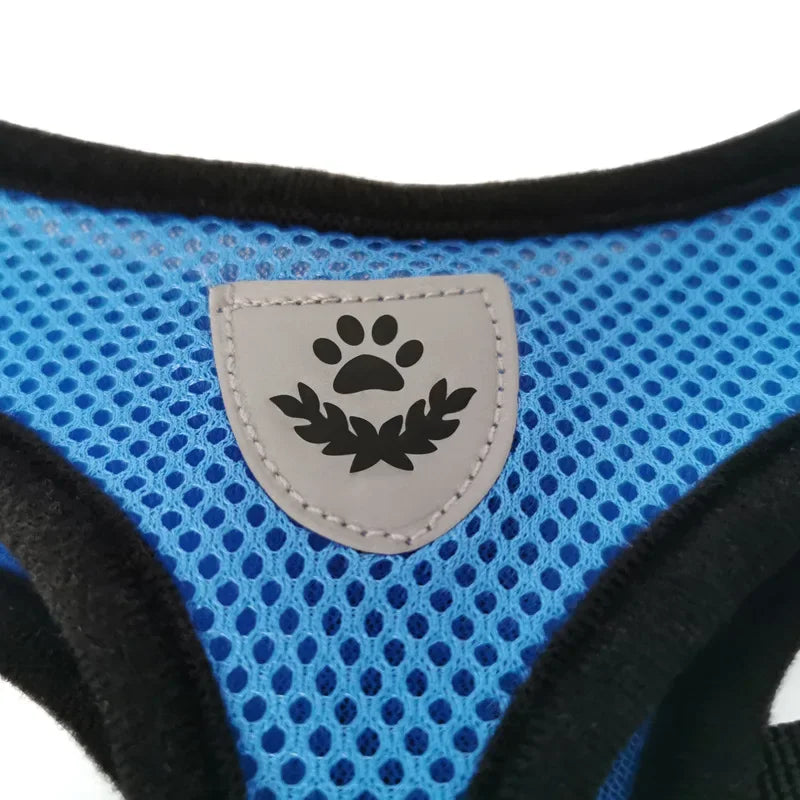 Dog and Cat Harness Walking Lead Leash | Polyester Adjustable Mesh  Vest For Small/Medium Size Pet