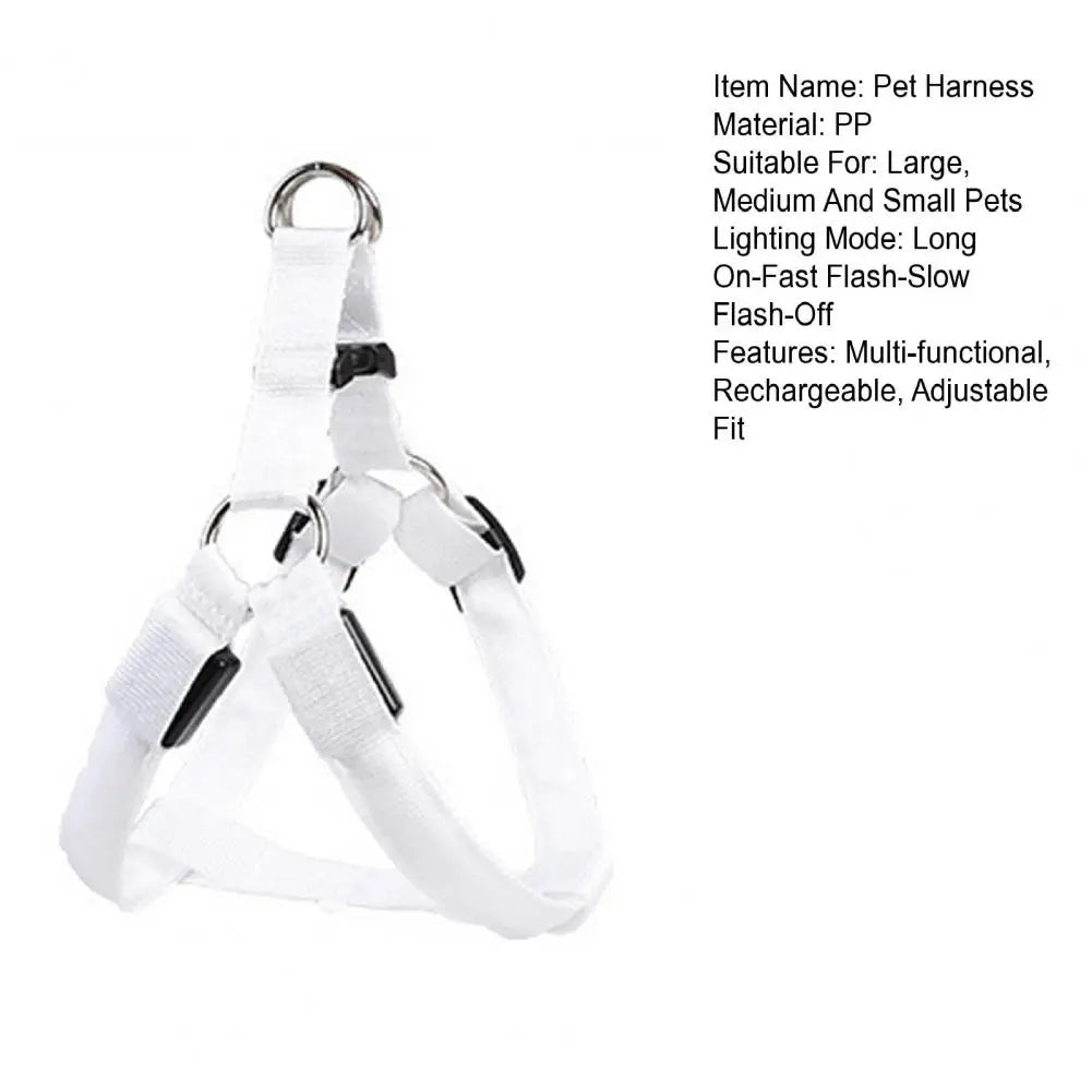 Adjustable LED Harness USB Rechargeable | Light Up Dog Harness | Glow-in-The-Dark Safety Vest | For Small Medium Dogs Pets Arnes