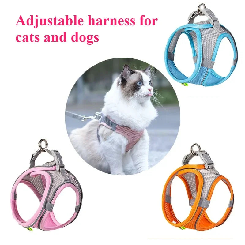Indestructible Cat/Dog Toys for Aggressive Chewers | Squeaky Interactive Plush Duck Toy