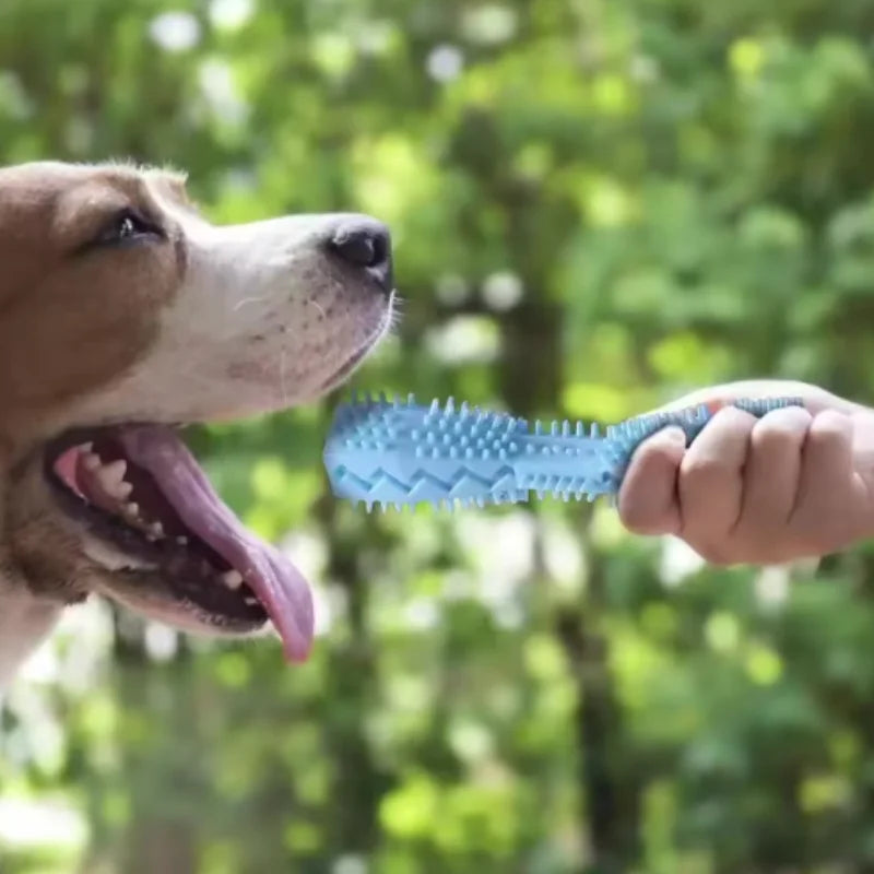 Puppy Teething Toy | Dog Chew Stick Bite Resistant | Leak Proof Food Dispenser | Teeth Cleaner  for Small Dogs