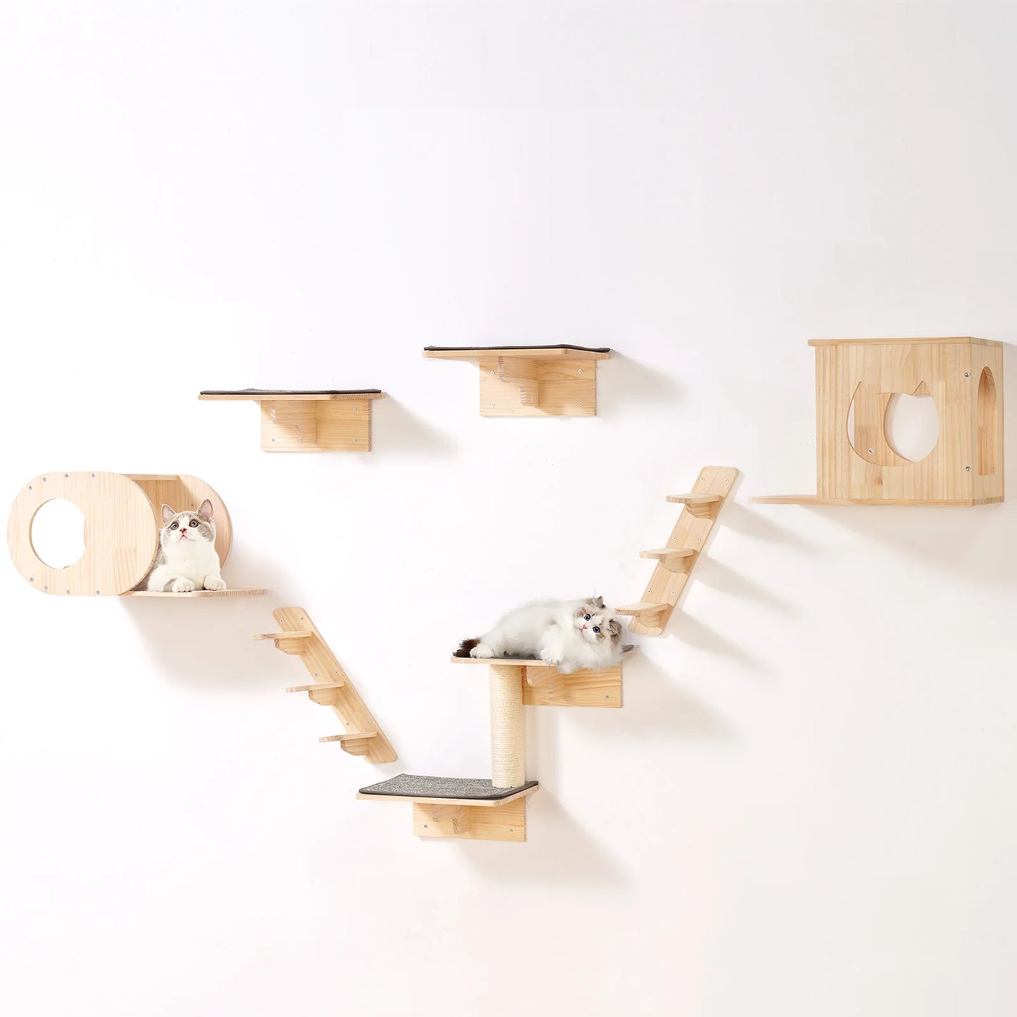 SucceBuy Wall Mounted Cat Wall Shelves and Perches with Jumping Boards Hammocks &  Tree Cat Furniture and Shelves