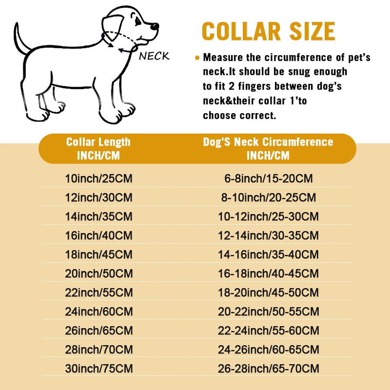 Stainless Chain Large Collar  Dogs Medium | Small Steel Gold  link for  Walking/Training