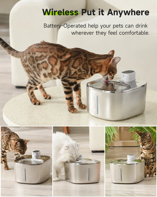 APETDOLA 4L Wireless Cat Water Fountain Auto Sensor Drinking Fountain For Cats/Dog | Water Dispenser