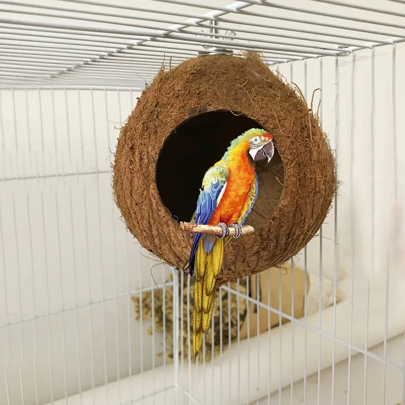 Bird Toy Chewing/Bite | Cage Hanging Swing | Climbing/Standing Branches Toys