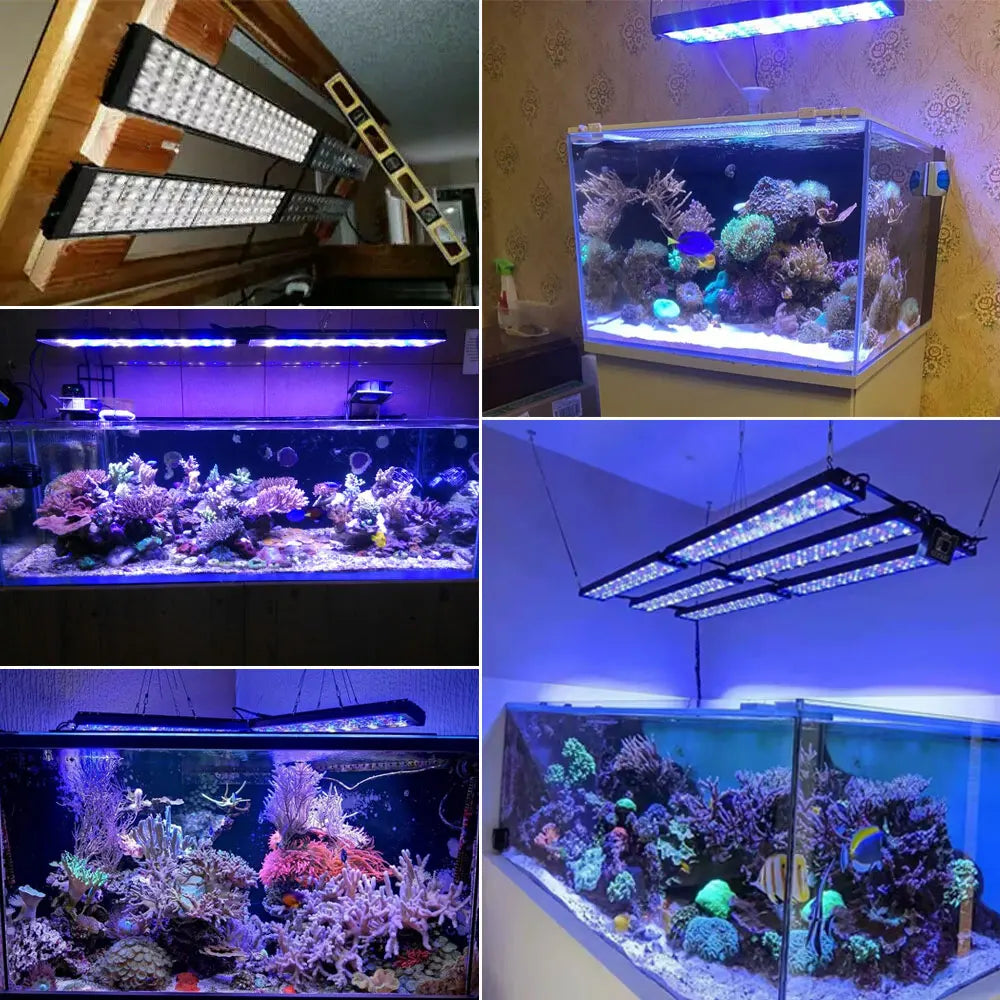 NEW PopBloom WiFi Led Aquarium Light, Full Spectrum Marine Aquarium Lamp For 60-240cm Reef Corals Seawater Led Fish Tank Lights