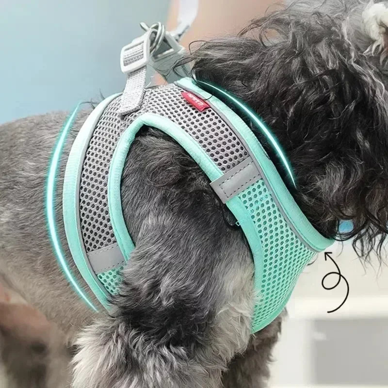 Adjustable Harness Set for  Puppy and Cat Harness Vest suitable for French Bulldog, Chihuahua, Small Dog Collar Pet Leash