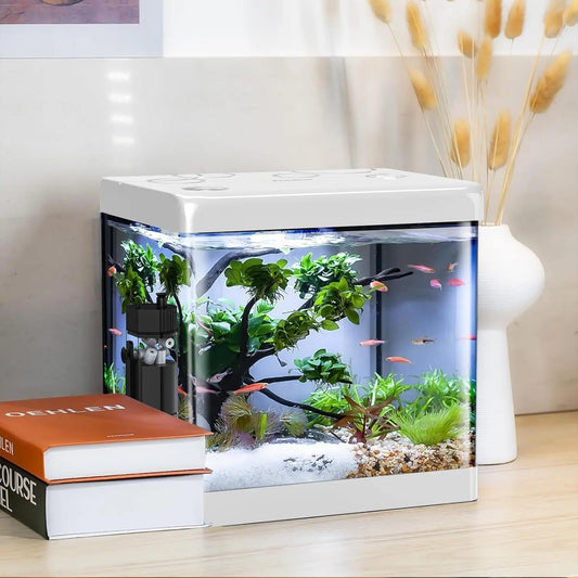 5 Gallon Glass Aquarium Kit with Filter and LED Light, Complete Betta Fish Tank Starter Set