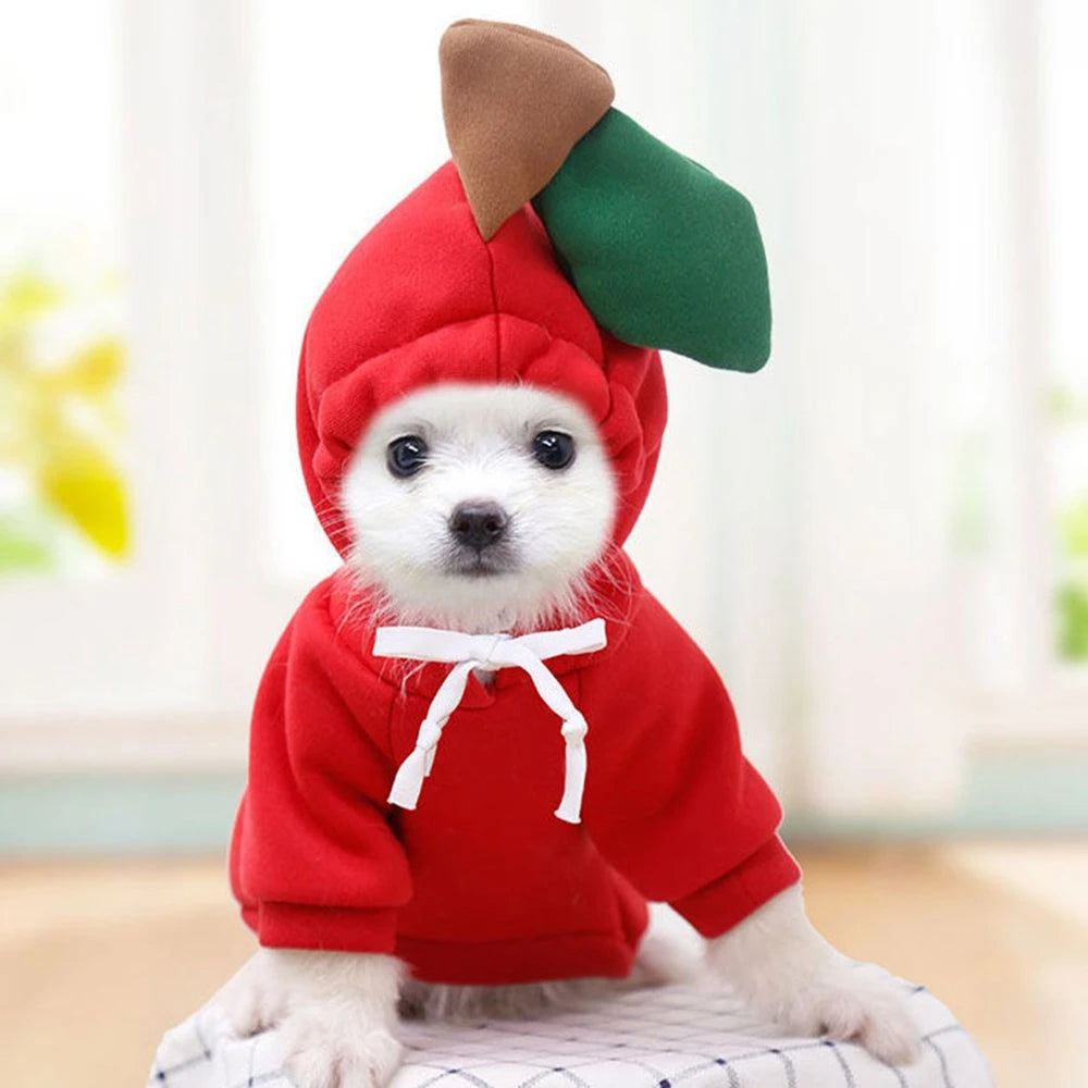 Cute Fruit Dog Clothes for Small Dogs | Hoodies Warm Fleece  Christmas Costume Coat for Dogs And Cats